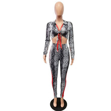 Load image into Gallery viewer, Hooded Tracksuit Women Spring Leisure Suit Long Sleeve Snake Print Jacket Top Coat and Pant Two Piece Sets Women Sweat Suits