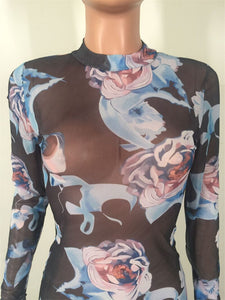 Floral Printed Sexy Sheer Mesh Bodycon Dress Women Autumn Crew Neck Long Sleeve See Through Dress Fashion Sexy Party Dresses