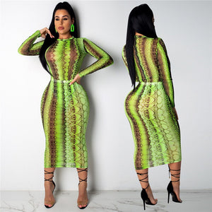 Party Club Dress Summer Sexy Sheer Bandage Bodycon Dress Long Sleeve Neon Green Snake Print Transparent Mesh Dress