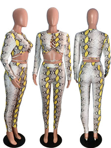 Snake Print Sexy 2 Piece Set Women Long Sleeve Lace Up Crop Top and Pant Suit Club Party Matching Sets 2 Piece Outfits for Women