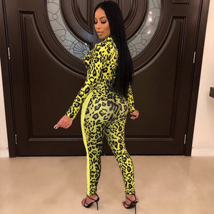 Hooded Tracksuit Women Spring Leisure Suit Long Sleeve Snake Print Jacket Top Coat and Pant Two Piece Sets Women Sweat Suits