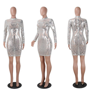 Long Sleeve Women Sequin Dress Autumn Winter Silver Sparkly Bodycon Dress Elegant Sexy Night Club Celebrity Glitter Party Dress