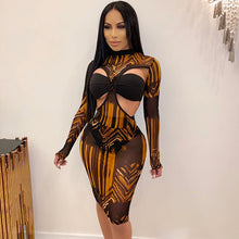 Load image into Gallery viewer, Women Zebra Leopard Sheer Mesh Sexy Club Dress with Underwear Long Sleeve Hollow Out See Through Sheath Midi Party Dress Vestido